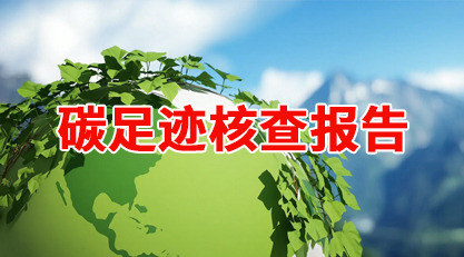 碳足迹核查报告